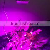 New Arrival 60w Cob Led Par Light With Inside Fan thumbnail-5