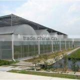 Low Cost Classic Plastic Greenhouse Film for Sale