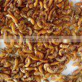 Good Quality Sun Dried Gammarus ;Pet Food Dried Gammarus thumbnail-3