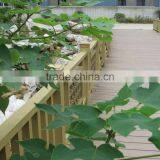 Beautiful and High Quality Garden Railing/wpc Outdoor Fence/NEW Product thumbnail-5