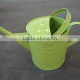 Green 10L Zinc Pot Flower Planter/Watering Can/Planter Shower Pot- Golden Supplier thumbnail-1