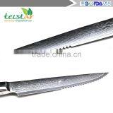 4.5 Inch Steak Knife Japanese VG-10 67 Layers Damascus Premium Steak Knife (4 Sets) thumbnail-5