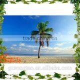 90% Similation Hot Market Price of Artificial Outdoor Fake Coconut Palm Tree Decoration thumbnail-2