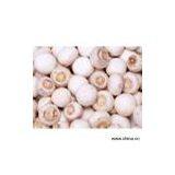 Sell Canned Mushrooms thumbnail-1