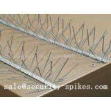 Seagull Spikes thumbnail-3