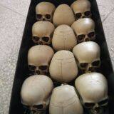 Cheap 4'' Resin Skull for Halloween Party Plastic Skull Head thumbnail-5