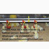 Ethiopia Poultry House & Chicken Farm Plastic Saltted Floor System for Broiler & Floor Raising System With Nipple Drinker System & Feeding Pan System