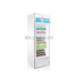 Industrial 1glass Door Upright Display Freezer of Higih Quality