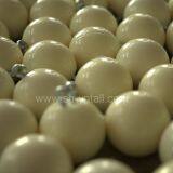 Pig Pacifiers Chewable Items for Swine PU Chewable Items for Swine