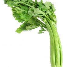 Chines Factory Good Quality Celery Seeds for Planting thumbnail-3
