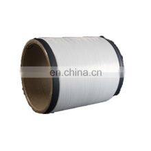 Manufacturer Sales 135D/108F Him Raw White Polyester Filament Ity Yarn