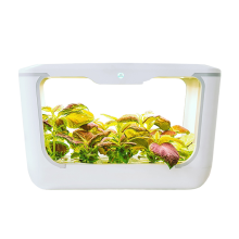 Hydroponics Grow Boxindoor Grow Box Microgreen Growing System Automatic Grow Box thumbnail-2