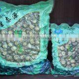 Lentinus Edodes /xianggu