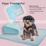 Pet Training Pad thumbnail-1