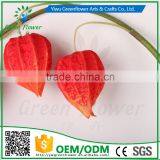 Greenflower 2016 Wholesale Real Touch Latex PU Lantern Fruit China Artificial Flowers Rose for Wedding Decoration thumbnail-5