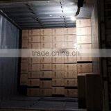 The New Patent Portable Solar Camping Lantern Lamp Outdoor Portable Outdoor Tent Lights Emergency Lights thumbnail-5