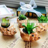 Hot-selling Artificial Conch Potted Mini Succulent Plants thumbnail-1