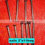 Libya Market Nails thumbnail-6