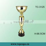 STUDENTS' TROPHY CUPS