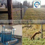 Fencing Wire Mesh