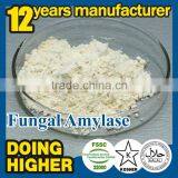 2016 High Quality Food Ingredients Food Additive Fungal Amylase thumbnail-2