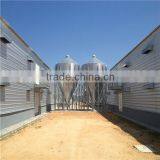 Customized Design Light Steel Structure Farm Building Chicken Shed Made in China thumbnail-4