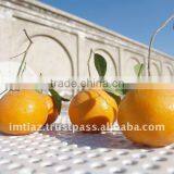 New Year 2017 Special Offer - Pakistani Citrus