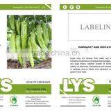 P19 Zhenyu f1 Hybrid Light Green Pepper Seeds in Agriculture thumbnail-2