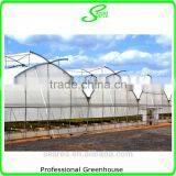 Multispan Tunnel Greenhouse for Strawberry Grape Raspberry , Agricultural Green Houses thumbnail-4
