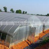 Tunnel Plastic Greenhouse Film Agriculture Greenhouse Poly Films thumbnail-3
