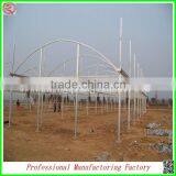 Hot Sale 12m Multi-span Agriculture Plastic Greenhouses for Vegetables thumbnail-6