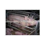 Sow Farrowing Crates thumbnail-1