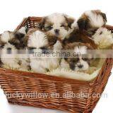 Eco-friendly Wicker Dog Basket,basket of Puppies thumbnail-1