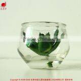 Hanging Glass Succulents Terrarium Mini Artificial Plants for Home Decoration thumbnail-1