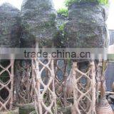Ficus Cage Shape Square Shape 2m thumbnail-1