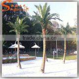 China Supplier Cheap Plastic Coconut Tree Price Fake Coconut Palm Plant Tree for Sale thumbnail-5