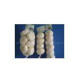 2009's Garlic thumbnail-1