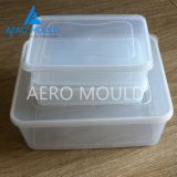 China factory direct plastic lunch box bowl mould