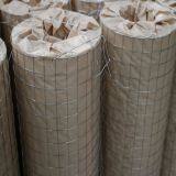 1/2 Inch Galvanized Welded Wire Mesh/pvc Coated Welded Wire Mesh/weled Wire Mesh Fence thumbnail-2
