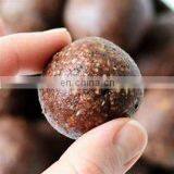 Gold Manufacturer Provides Vegan Protein Chocolate Energy Ball Making Machine for Sale thumbnail-4