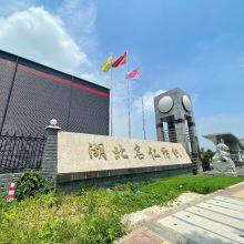 Wuhan Dasion Commerce & International Trading Co., Ltd. company overview - view 1 thumbnail