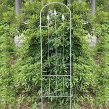 Modern Handmade Wrought Iron Garden Fence and Trellis, Wholesale for Garden Landscaping Projects thumbnail-3