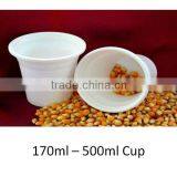 Biodegradable Cup