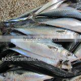 Sea Fish 200-300g