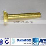 brass knurled file bush