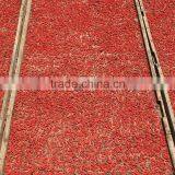 2015 Goji Berry,bulk Sale for Export thumbnail-3