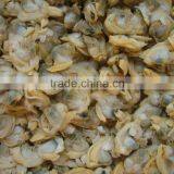 Multi-Language Sites Frozen Short Neck Clam With Shell Frozen Short Neck Clam With Shell Frozen Short Neck Clam With Shell Froz thumbnail-3