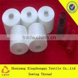 T30s/2 China Good Quality 100% Yizheng Polyester Sewing Thread Wholesale and Notions thumbnail-1
