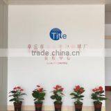 Zhangqiu Taitou Special Steel Ball Factory company overview - view 2 thumbnail