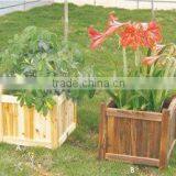 HL011 WOODEN PLANTER